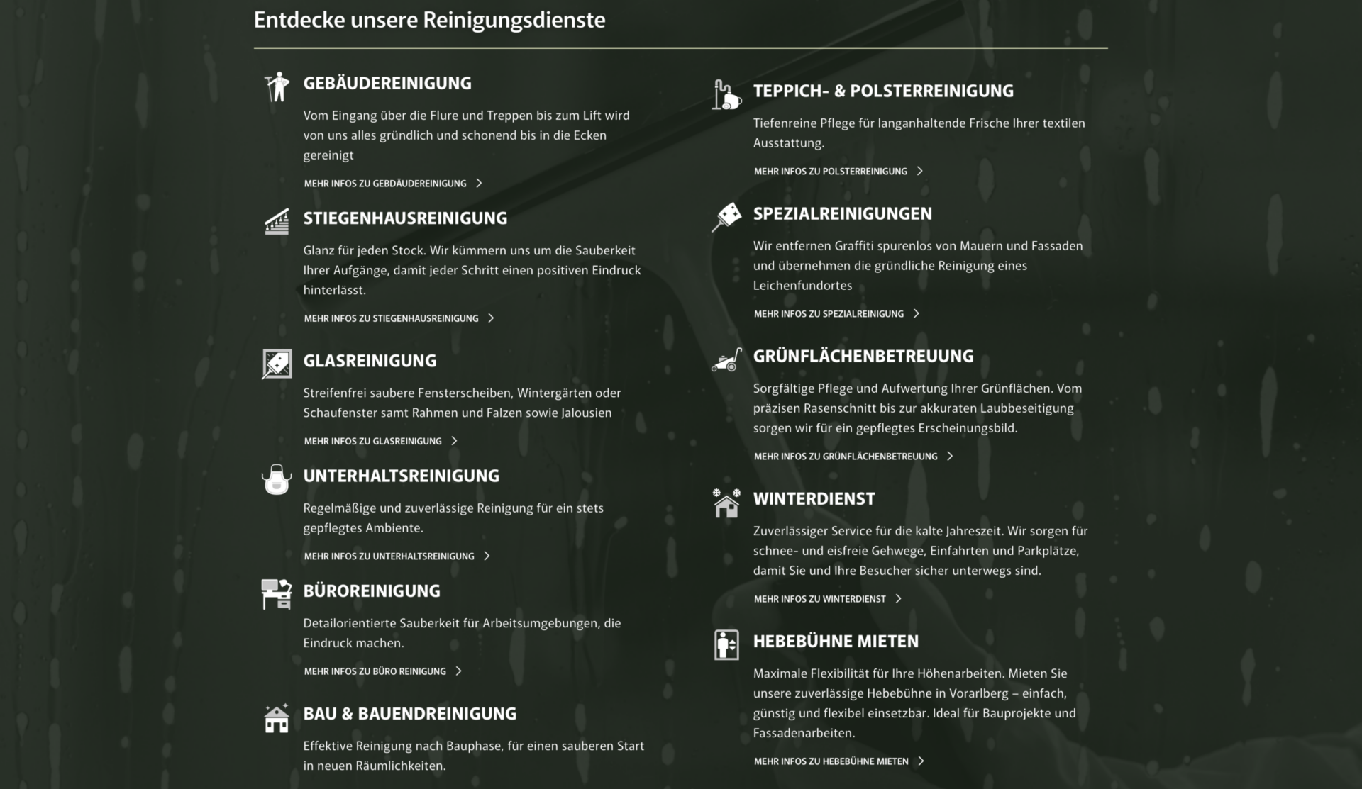 Ender Gebäudereinigung leistungen Darstellung